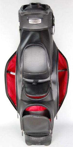 Bennington LIMITED 2.0 QO 14 gebraucht